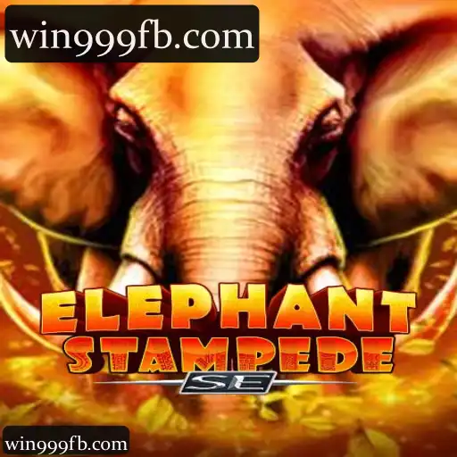 ElephantStampedeSE